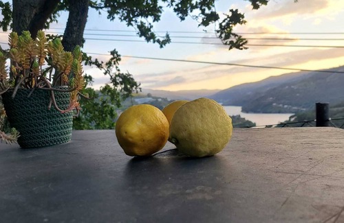 Resende House | Douro Mesio Guest House