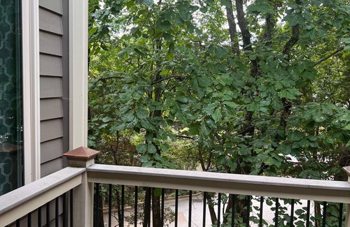 Huntsville House | Down /Town Home