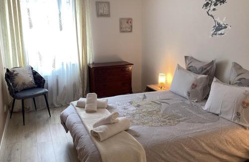 Saint-Pol-de-Leon Apartment | Downtown apartment