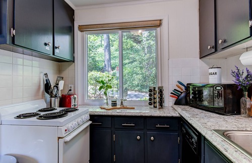 Kenilworth Ski Chalet | Downtown Asheville - The Zurich Swiss MNT Chalet #9A/Low Cost Uber