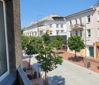 Siauliai City Center Apartment | Downtown Boulevard View Residence