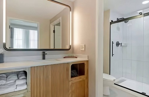 Downtown Tampa Hotel | Downtown Delight: Stay in the Heart of Tampa's Excitement! 4 Rooms