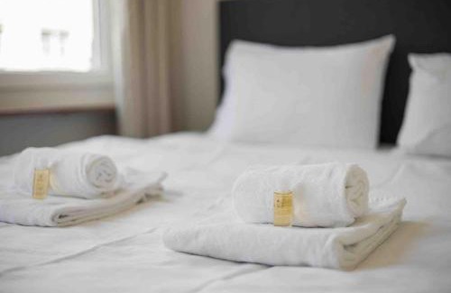 Sihlfeld Apartment | Downtown Deluxe Studio with Queen Bed BE-45