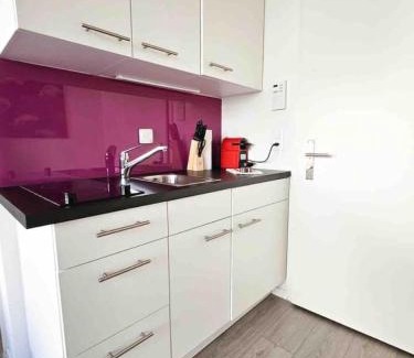 Sihlfeld Apartment | Downtown Deluxe Studio with Queen Bed BE-15