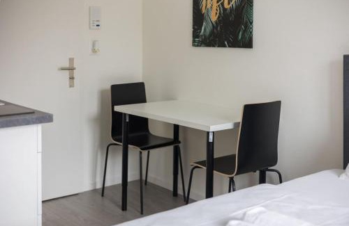 Sihlfeld Apartment | Downtown Deluxe Studio with Queen Bed BE-55