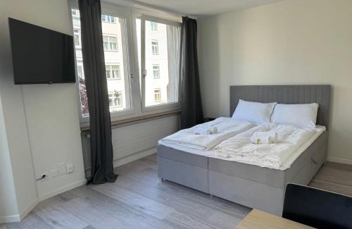 Sihlfeld Apartment | Downtown Deluxe Studio with Queen Bed BE-26
