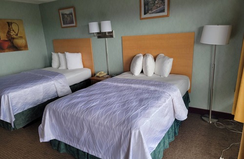 Asheville Hotel | Downtown Inn #3 - Double Room