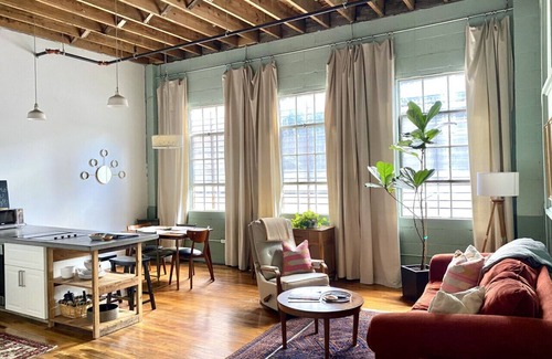 Central Business District Apartment | Downtown Lynchburg, Panel Loft, LYH Va Virginia