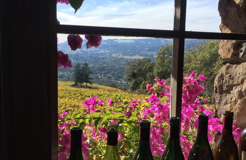 Napa Cottage | Downtown Napa Cottage- walking distance to City Center