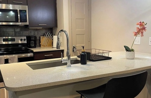 Chestnut Apartment | Downtown Retreat with Resort Perks- Pool, Wifi, Pets Allowed