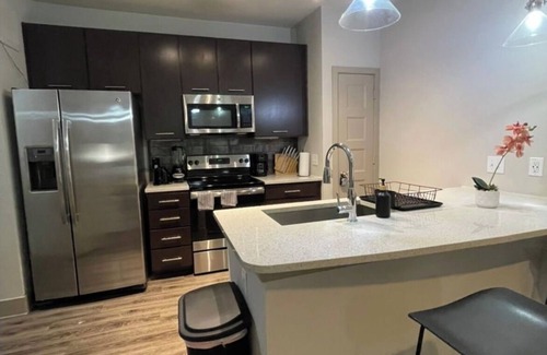 Chestnut Apartment | Downtown Retreat with Resort Perks- Pool, Wifi, Pets Allowed