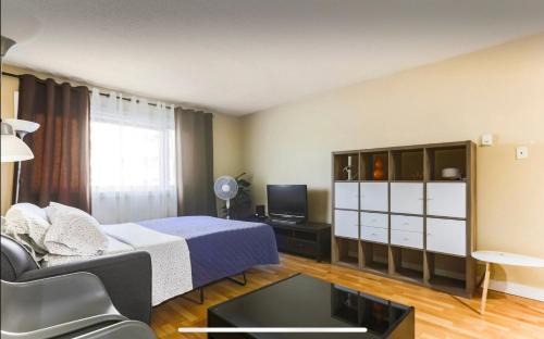 Downtown Edmonton House | Downtown River Valley Bachelor Suite Condo, NON Smoking, 12 inches Queen Bed, Beautiful Minimalist, very convenient every where