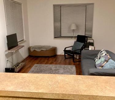 Greater Third Ward House | Downtown Room For Active Guests