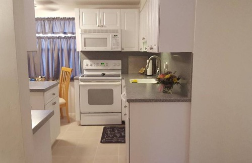 Safety Harbor House | Downtown Safety Harbor 2 Bed 1 Bath Pool Home, 20 minutes from Clearwater beach