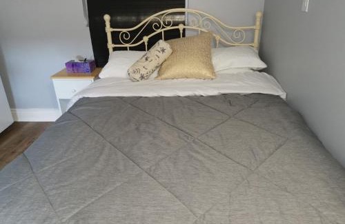 Ottawa Division Apartment | Downtown Studio