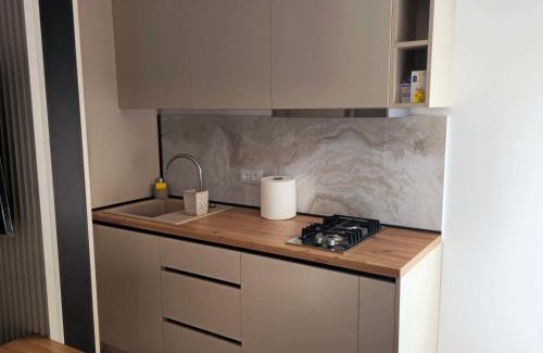 Ramnicu Valcea Apartment | Downtown Studio