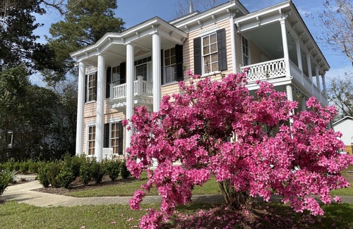 Summerville Historic District Apartment | Downtown Summerville Historic District Studio