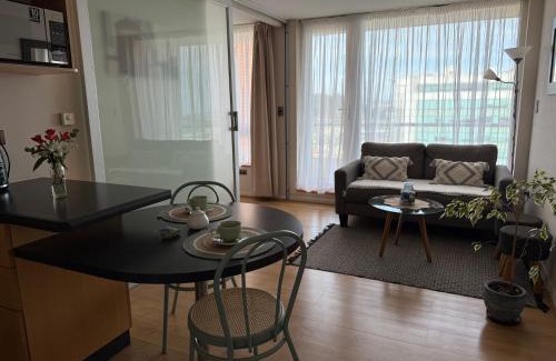 Concepcion Apartment | Dpto 1 dorm cercano Aeropuerto, Concepción