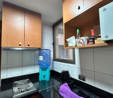 Lastarria Apartment | Dpto acogedor en Lastarria