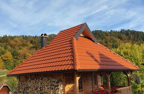 Bajina Basta Apartment | Draganovi Konaci