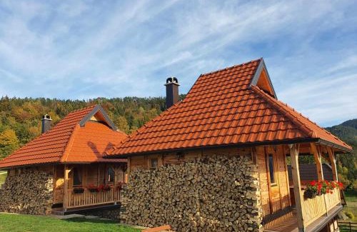 Bajina Basta Apartment | Draganovi Konaci