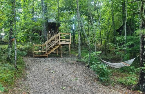 Blairsville House | Dragon Fly