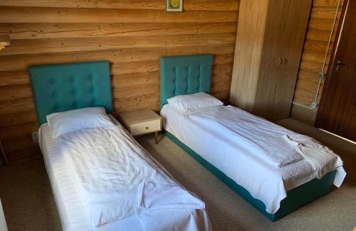 Plavya Cabin | Dream Forest