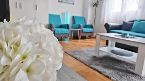 Pirot Apartment | Dream Rental Pirot Apartman