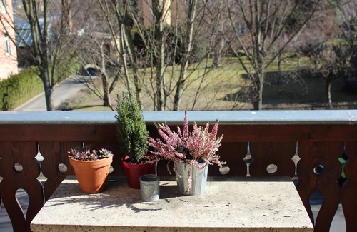 Strehlen Apartment | Dreamlike apartment - Villa am Großen Garten