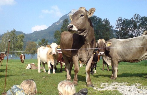 Fuschl am See Apartment | dreamy Holidays at the Lake Fuschl with private beach and restaurant