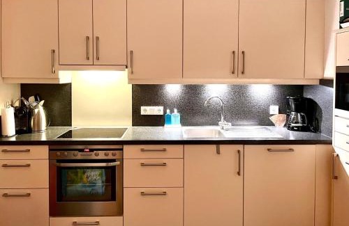 Viehhofen Apartment | Drei Berge Top 4
