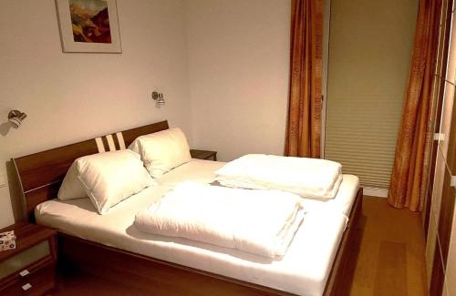 Viehhofen Apartment | Drei Berge Top 4