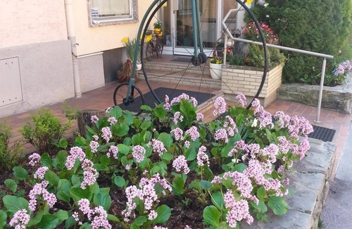Elisabeth-Vorstadt House | Dreibettzimmer mit Dusche od. Bad, WC - Hohenstauffen, Hotel