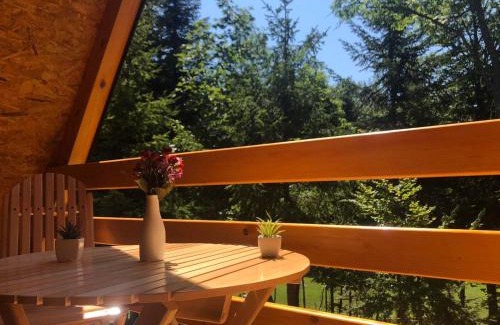Tara National Park Ski Chalet | Dren Chalet Lux - Banjska stena