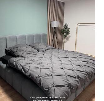 Seevorstadt Apartment | Dresden City 2 Room - Design Apartment
