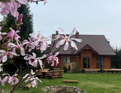 Brusy House | Drewniany dom w Borach Tucholskich "Twoja Ostoja"