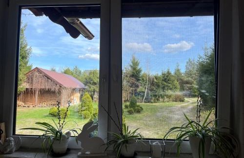 Brusy House | Drewniany dom w Borach Tucholskich "Twoja Ostoja"