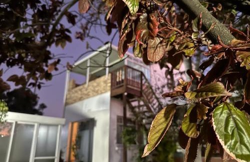 Humewood House | Driftsands Guesthouse