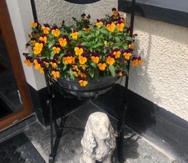 Enniskillen Bed & Breakfast | Drumcoo Guest House
