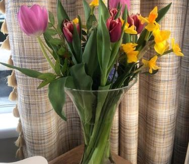 Enniskillen Bed & Breakfast | Drumcoo Guest House