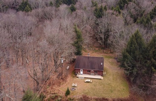 Arkville Cabin | Dry Brook Cabin minutes to Belleayre