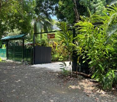 Cabuya Other | DS House