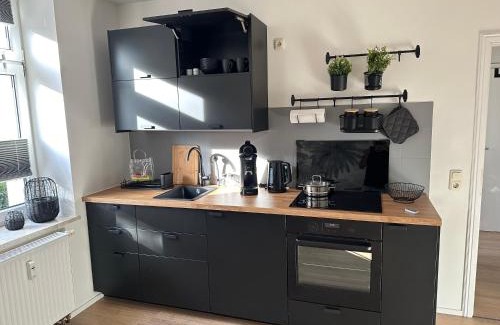 Kropeliner-Tor-Vorstadt Apartment | Dschungel