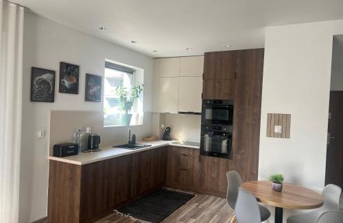Ostrow Wielkopolski Apartment | Duży Apartament 3 pokoje Park City