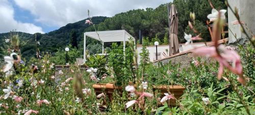 Portoferraio Villa | Duca House