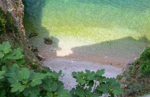 Vrbnik Apartment | Dume Vrbnik