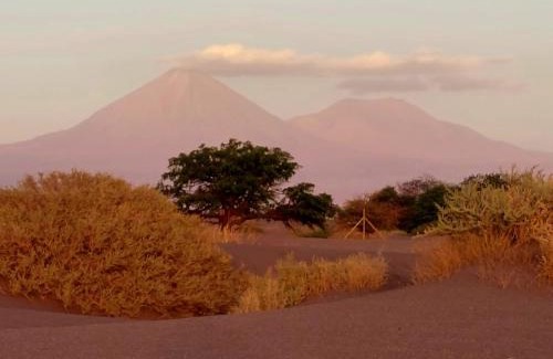 San Pedro de Atacama Apartment | Dunas de tulor