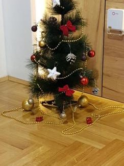 Valjevo Apartment | Dunja