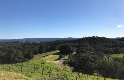 Paso Robles House | Dunning Vineyards Guest Villa