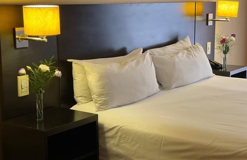 Congreso Hotel | Duomi Hotel Buenos Aires